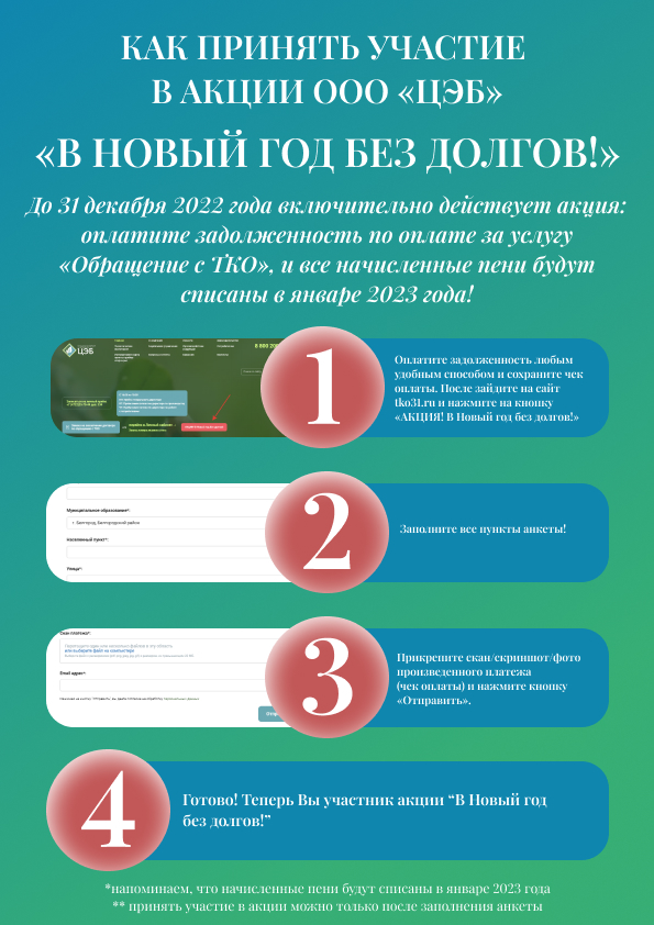 Примите участие в акции ООО &quot;ЦЭБ&quot; &quot;В Новый год без долгов&quot;.