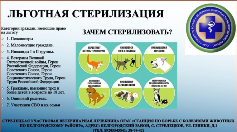 Льготная стерилизация домашних животных. Льготная стерилизация домашних животных.